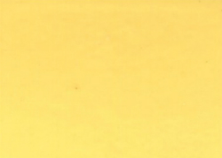 1982 International Saffron Yellow